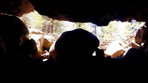 roosaurusrin:Lava River Cave near Flagstaff, Arizona. This lava tube was likely formed through a ven