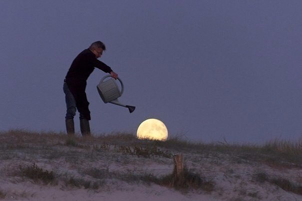 the-real-eye-to-see:  The Taming of the moon