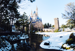 mickeyandcompany:  Disney Christmas Countdown [07/??]: Tokyo Disneyland under snow (by Disney Parks Blog) (Disneyland Paris) 