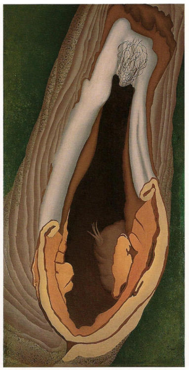 Ithell Colquhoun - Tree Anatomy, 1942