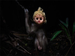 sixpenceee:  They may have the faces of dolls, but the subjects in these photos are very much alive.  In a series called ‘A Kind of You’ Finnish photographer Perttu Saksa documents the disturbing world of Jakarta’s monkey street performers, who
