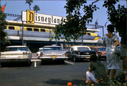 1950sunlimited:Disneyland Entrance,Anaheim