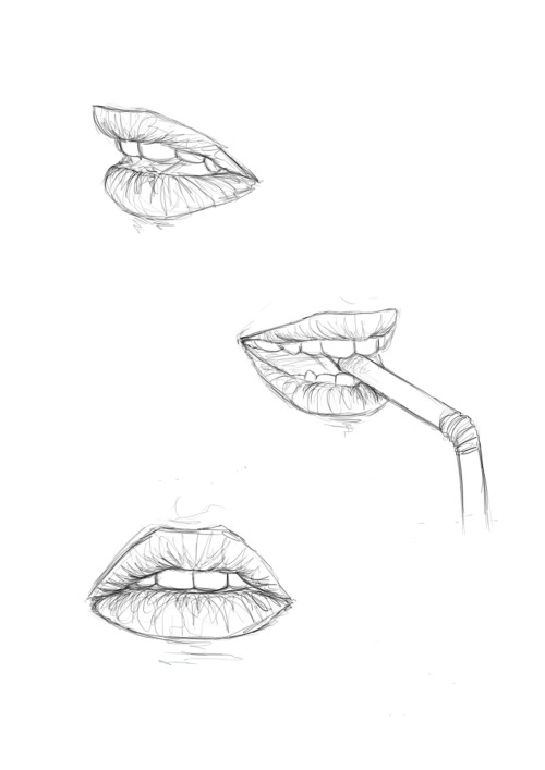 (sexy) lips study
