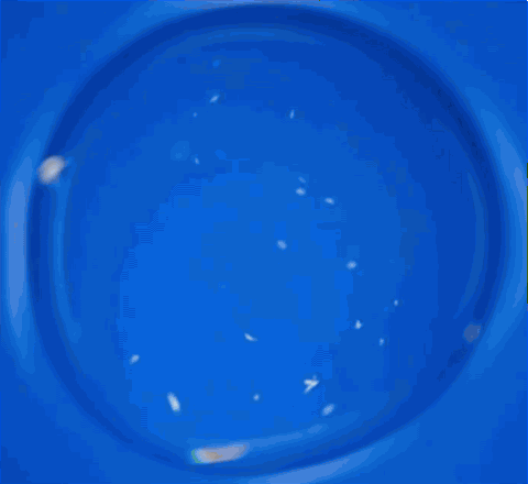 Feeling that post-lunch catnap coming on? Time for a hot afternoon cup of&hellip;crystallizing c