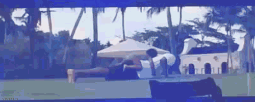 mookie-is-mindless-for-girls:  yivialo:  They are so cute  awww.