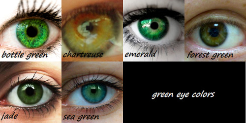 goddessofsax:Blue, brown, and green eye colors