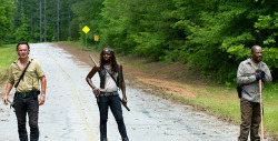 love-the-walking-dead:  The Walking Dead