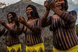 Fulni-Ô Brazilians, Via Encontro De Culturas. Entre O Sol E A Poeira Da Chapada,