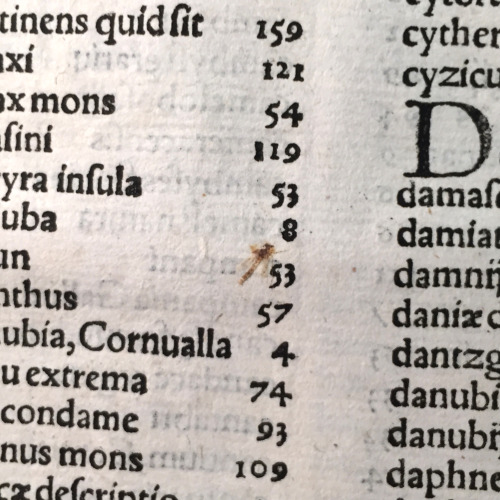 msulconservationlab: I don’t know why I find squished bugs in books so terribly amusing. This 