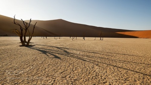 Deadvlei by jackykobelt