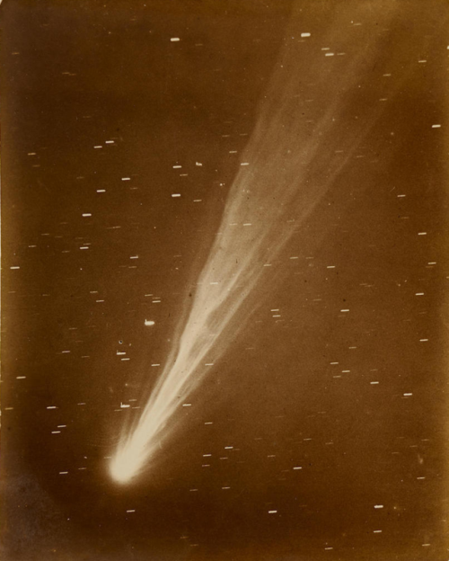 desimonewayland:Two gelatin silver prints of images taken of the Morehouse comet in 1908 at the Roya