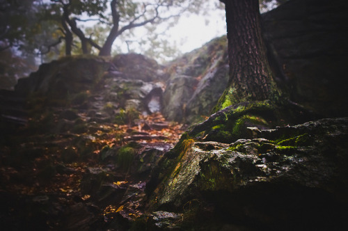 the-greenest-home: Harz Mountains - Rosstrappe by karl.wagner.photography on Flickr.