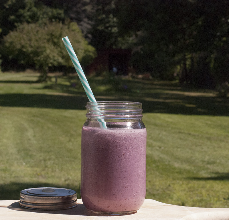 Breakfast Smoothie Recipe
This smoothie is a slightly adjusted version of the Phase 1 Power Shake found in Always Hungry. The original calls for ½ cup of frozen berries and ½ cup of fresh non tropical fruit. I personally find it easier to just use...