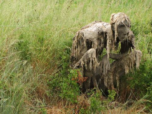 ex0skeletal-undead:Swamp creatures in the Marshes Nature Reserve of Séné in the Gulf of Morbihan in 