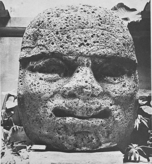 equatorjournal: Stone head from La Venta, Olmecan culture. From “Art in Latin American archite