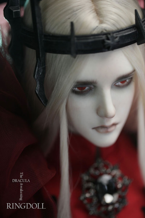 ringdoll:  New release of Ringdoll–Dracula.Dracula is a limited edition with unique style, can be purchased from Feburary 14th, 2015 to May 14th, 2015.This edition will be discontinued when limited purchased time ends but the basic doll(without make-up)