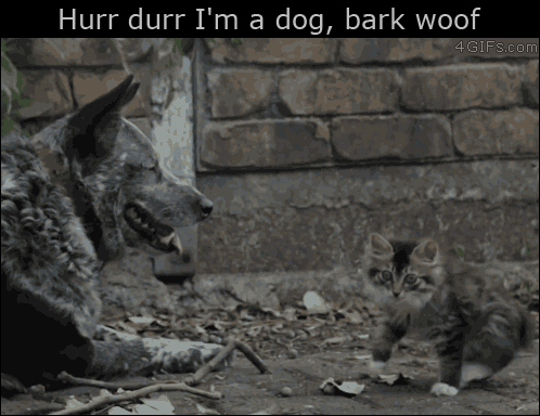 charlie-bearr:lolfactory:Hurr durr, I’m a dog☆ funny tumblr☆ funny reblogsthis-chick-digs-chicks