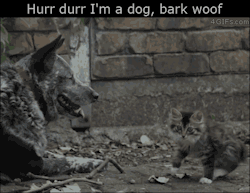 blazepress:  I laughed way too hard.