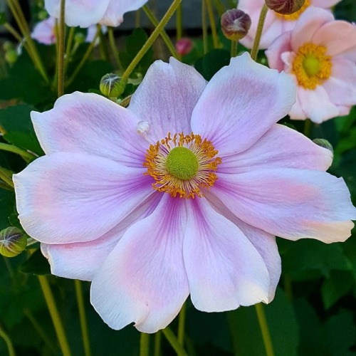 lavenderwaterwitch: Nature is spectacular ✨ Instagram – hillaryelis