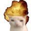 scorchinghotsauce