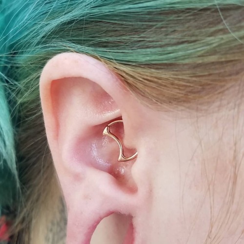 Had fun doing this #daith for @spitxfountain with a @bodygems lunear. . . . . #safepiercing #bodyp