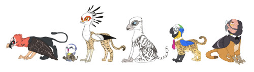 carniscorner:  Made a compilation with approximate size relations.  Oooh secretary bird griffs are one of my weaknesses ;____; sopretty Works well with cheetah! A bunch o’ neat designs here.