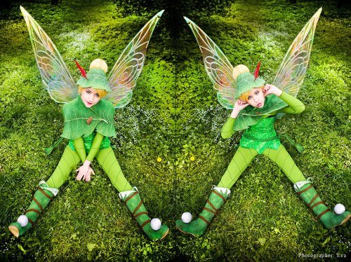 tintintink:Tinker Bell & the Lost Treasure adult photos