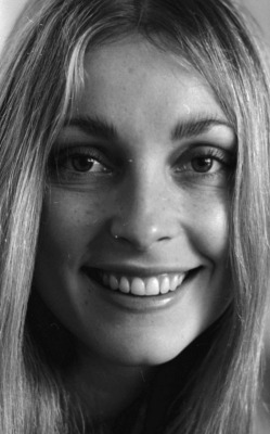 simply-sharon-tate:Sharon Tate, photographed