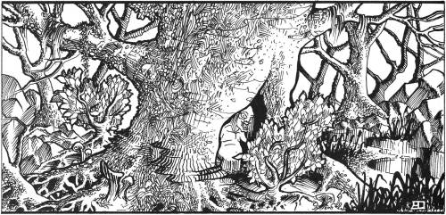 The mad hermit in his hollow oak tree (Erol Otus, B2: The Keep on the Borderlands, TSR, 1980)