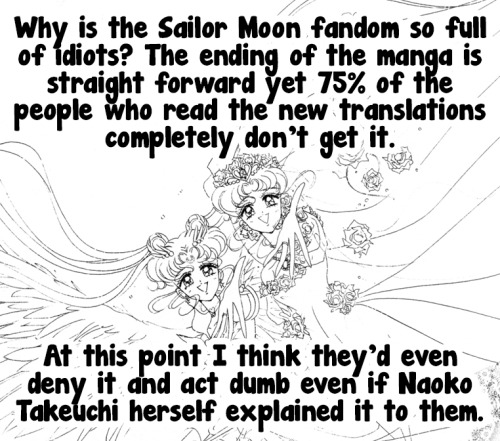 Why is the Sailor Moon fandom so full of idiots? The ending of the manga is straight forward yet 75%