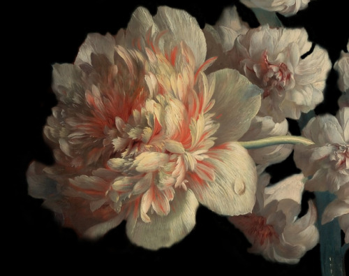 clara–lux:Details after “Vase of Flowers” by Jan van HuijsumEd. and Digital Restor