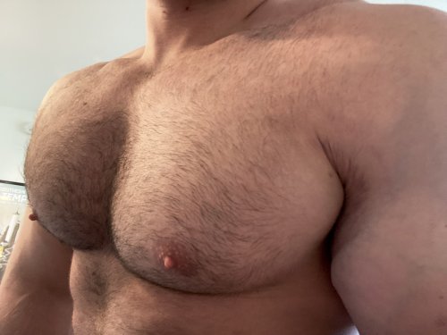 BONS GROS PECS À VÉNÉRER !