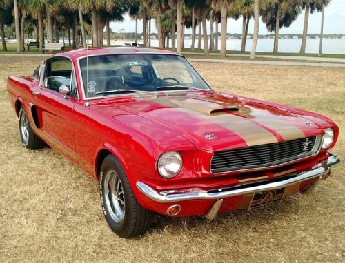 prova275:  Rent-a-Racer… 1966 Shelby GT350H 