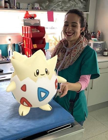 retrogamingblog2:A veterinary hospital in Mexico used Pokemon Go’s snapshot feature to turn their of