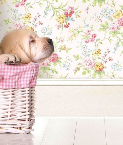 Reblogged this from belleinspired.tumblr.com tumblr_p8fm9oH36A1wj5hhdo1_640