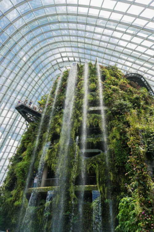travelingpage:  The world’s largest indoor waterfall | Cloud Forest, Gardens by the Bay, Singapore |