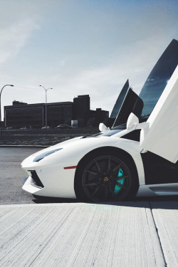 envyavenue:  Lamborghini Aventador