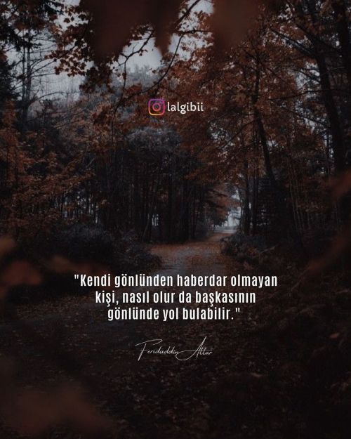 “Kendi gönlünden haberdar olmayan kişi, nasıl olur da başkasının gönlünde yol bulabilir.” . . . . . 