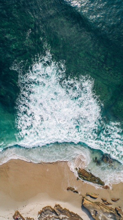 Beach Day