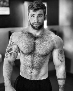 Hairy Hunky Men