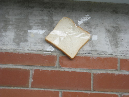 tupacabra:meladoodle:my friends taped bread everywhere at schoollife hack