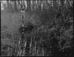 brackenstudies:  reflection 120 format Ilford