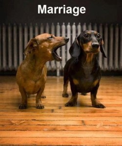 lolfactory:  Is There Anything More Magical Than Marriage?☆ funny pics tumblr ☆ funny stuff