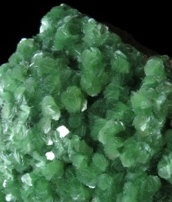 bijoux-et-mineraux:  Fuchsite crystals - Pasto Bueno Mine, Peru 