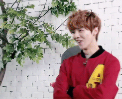 purpleuhan-deactivated20190116:  some examples of what luhan’s face can do 
