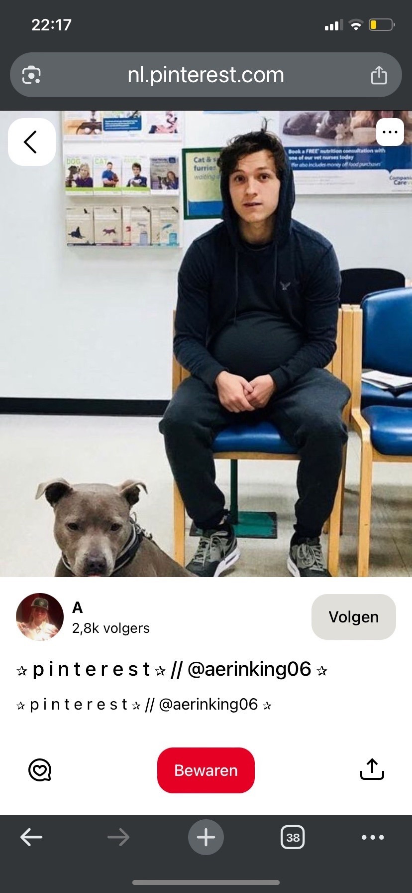Tumblr media