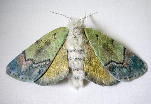 moth-suicides:  Yumi Okita 