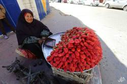 lahciguapa:  momo33me:An old woman sells strawberries in ‎Gaza‬ . 2 February 2015Those are the most beautiful strawberries I ever seen. I’ve reblogged them before, but I would be head over heels for a basket of strawberries like that.