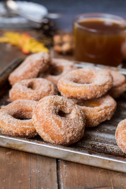 daily-deliciousness:  Amazing apple cider donuts