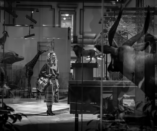 reyys: Wonder Woman 1984 (2020) Dir. Patty Jenkins